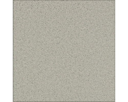 Carrelage mur et sol en grès cérame fin Gres gris clair 30x30 cm
