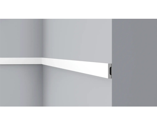 Wandleiste C19, 1 x 2 m, 10 x 38 mm Wandleiste C19, 1 x 2 m, 10 x 38 mm