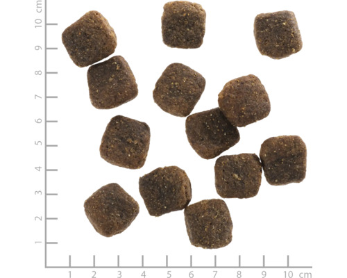 Aliments secs pour chiens carrés