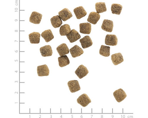 Quadratisches Trockenfutter für Hunde