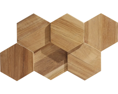 Holz Wandverblender Rebel of Styles UltraWood teak hexagon 15x26 cm