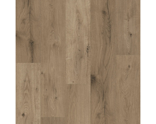 Kaindl Laminat MASTERFLOOR 8.0 Standard Wildlife Eiche Landhausdiele 1383 x 193 x 8 mm