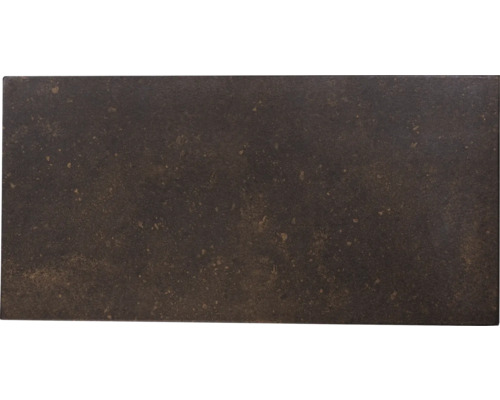 Wandpaneel Iron 4 Stk. 100 x 50 cm