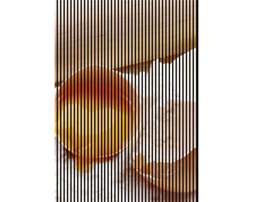 Akustikpaneel digital bedruckt Backen 1 2400 x 1693 x 19 mm Set = 3 Einzelpaneele