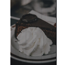 Eine Portion Tiramisu auf einem Teller