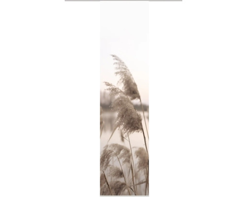 Flächenvorhang Trawy Digitaldruck natur 60x245 cm