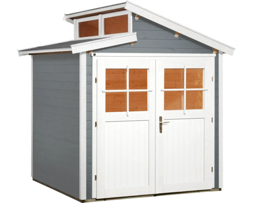 Abri de jardin avec double porte et fenêtres de toit
