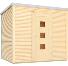 Abri de jardin avec porte et fenêtres