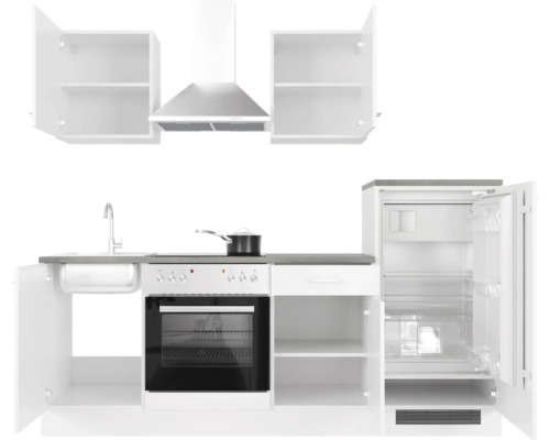 Cuisine équipée avec évier, cuisinière, hotte aspirante et réfrigérateur