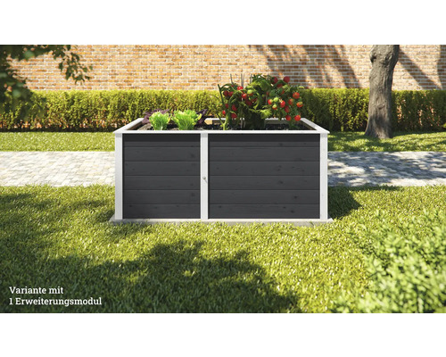 Jardinière surélevée avec module d''extension dans le jardin avec de la salade et des plants de tomates