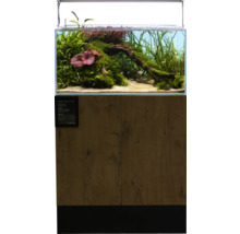 Eingerichtetes Aquarium mit Unterschrank