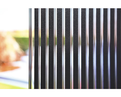 Gros plan d''une plaque alvéolaire