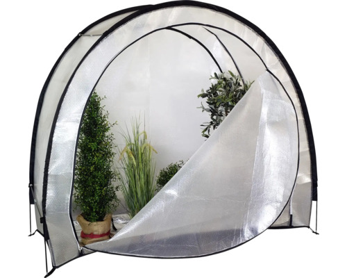 Serre tunnel avec plantes