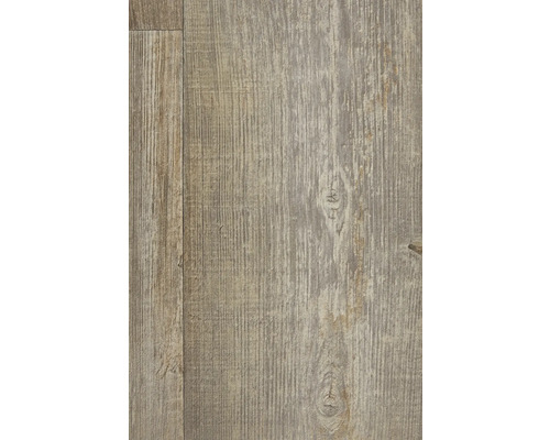 PVC-Boden Terni Holzdielenoptik gekalkt FB591 Dielen 20x120 cm 400 cm breit (Meterware) PVC-Boden Terni Holzdielenoptik gekalkt FB591 Dielen 20x120 cm 400 cm breit (Meterware)