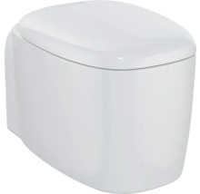 Weisse Wandtoilette mit Deckel