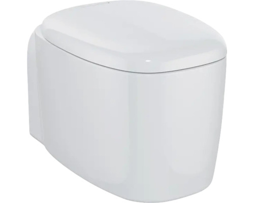 Weisse Wandtoilette mit Deckel