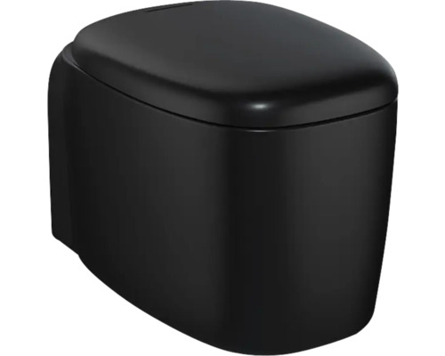 Wand-Tiefspül-WC in Schwarz