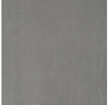 Dalle de terrasse en grès créame fin FLAIRSTONE Sand bords rectifiés 60x60x3 cm