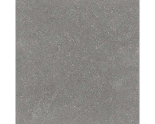 FLAIRSTONE Feinsteinzeug Terrassenplatte Skyfall grey rektifizierte Kante 60 x 60 x 3 cm Graue Bodenfliese