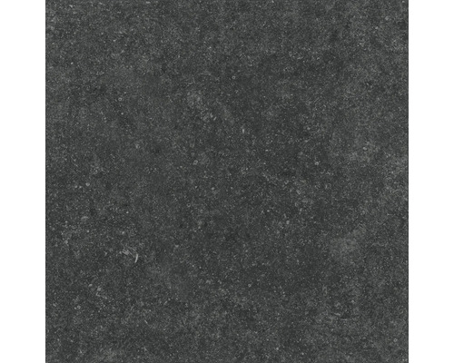 Dunkle Steinzeugfliese mit matter Oberfläche