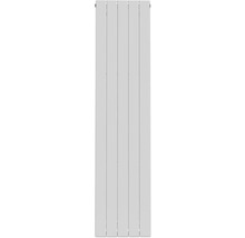 Rotheigner Designheizkörper PANEL 1400 x 366 mm weiss Anschluss Mittig unten
