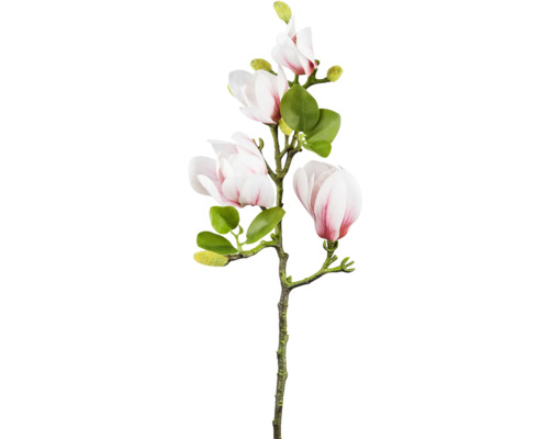 Plante artificielle Magnolia H 67 cm