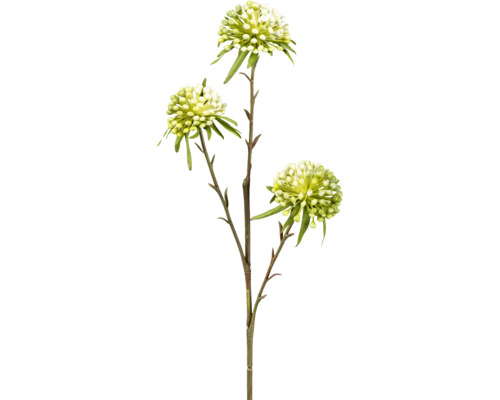 Plante artificielle Allium H 62 cm vert