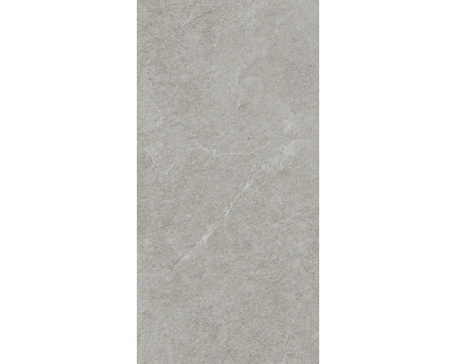 Carrelage sol et mur en grès-cérame NARVIK silver 30x60x0,85 cm