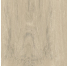 Texture de bois pour projets de construction et de rénovation