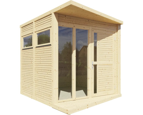 Abri de jardin en bois avec fenêtres et porte