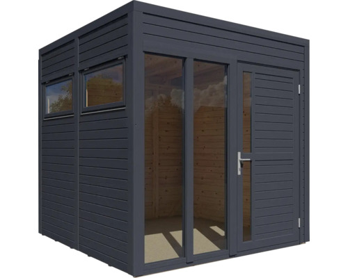 Abri de jardin moderne avec fenêtre et porte vitrée