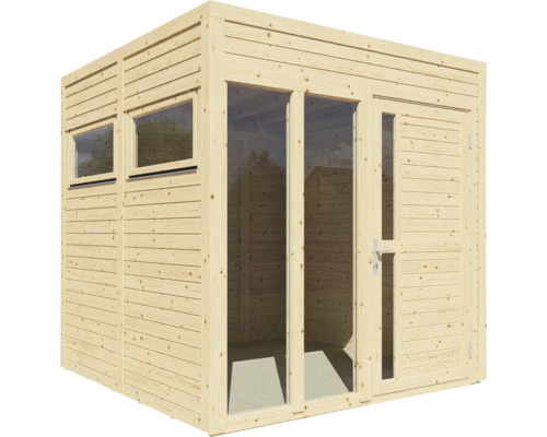 Abri de jardin en bois avec fenêtres et porte