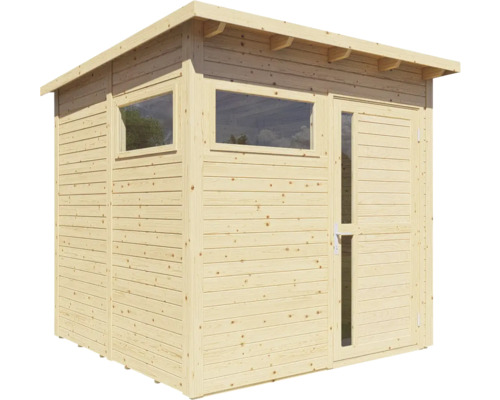 Abri de jardin en bois avec fenêtre et porte