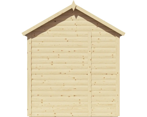 Abri de jardin en bois avec toit à pignon et porte
