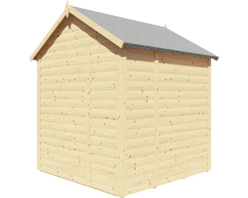 Abri de jardin en bois avec carton bitumé