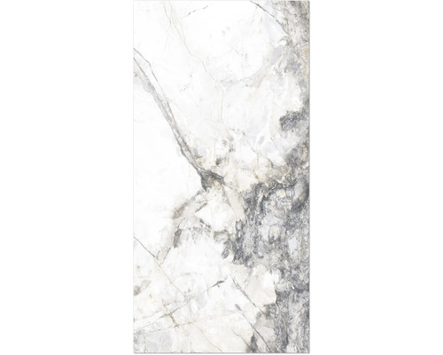 Carreau de marbre avec veinures naturelles