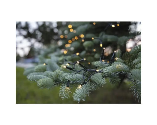 Lichterkette auf einem Baum