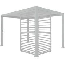 Pergola avec paroi à lamelles pour le jardin