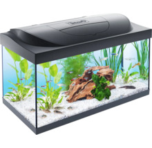 Aquarium mit Fischen, Pflanzen und Dekoration