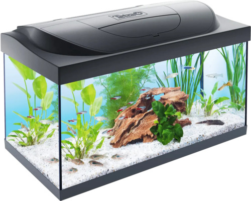 Aquarium Tetra Dein Aquarium Starter Line avec couvercle, éclairage, chauffage/résistance chauffante préparateur d'eau nourriture film pour paroi arrière 61 x 36 x 32 cm