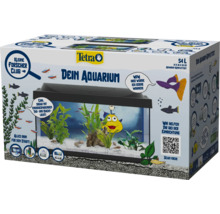 Verpackung des Tetra Aquariums Komplettsets mit 54 Litern inklusive Dekoration und technischem Zubehör