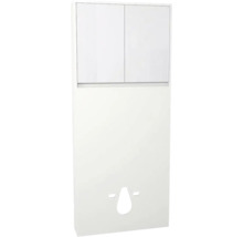 Spülkastenverkleidung mit Schrank Devo Cristal 2.0 BxHxT 80x188x19 cm alpine white/signal white glass