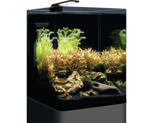 Aquarium mit Pflanzen, Steinen, Garnelen und Beleuchtung