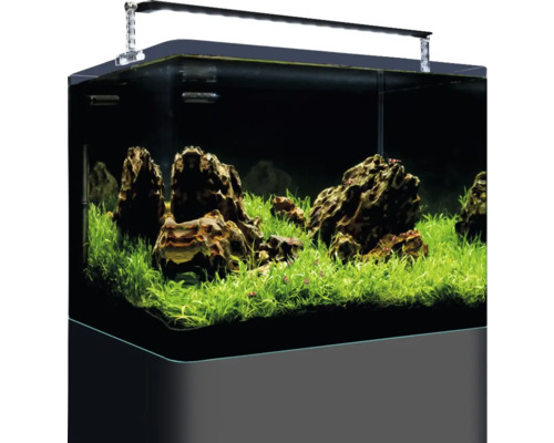 Aquarium DENNERLE Nano Tank Plant Pro 55 L, LED Beleuchtung