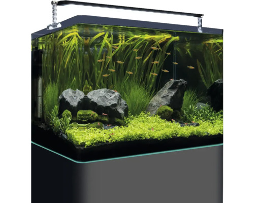 Aquarium mit Pflanzen, Fischen und Beleuchtung