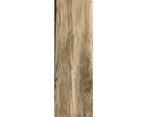 Feinsteinzeug Terrassenplatte Sherwood walnut rektifizierte Kante 40 x 120 x 2 cm