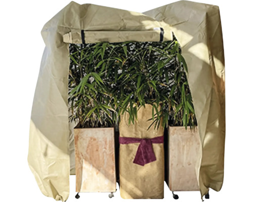 Méga housse intissée de protection hivernale Videx Roll-up 100x200x250 cm beige Plantes de bambou en pot avec housse de protection hivernale