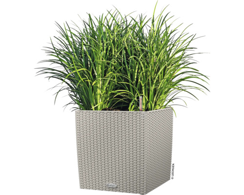 Pot de fleurs carré avec plantes vertes