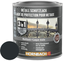 Metall Schutzlack 3 in 1 im Farbbehälter