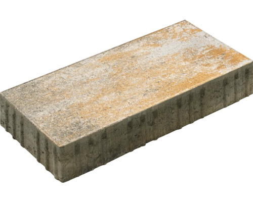 Pavé rectangulaire FLAIRSTONE Cordena luna coquille calcaire 40 x 20 x 6 cm